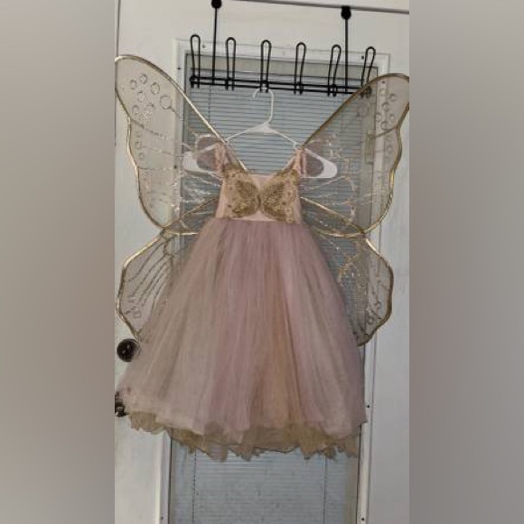 Pottery Barn Faerie Costume size 3T - Picture 4 of 9
